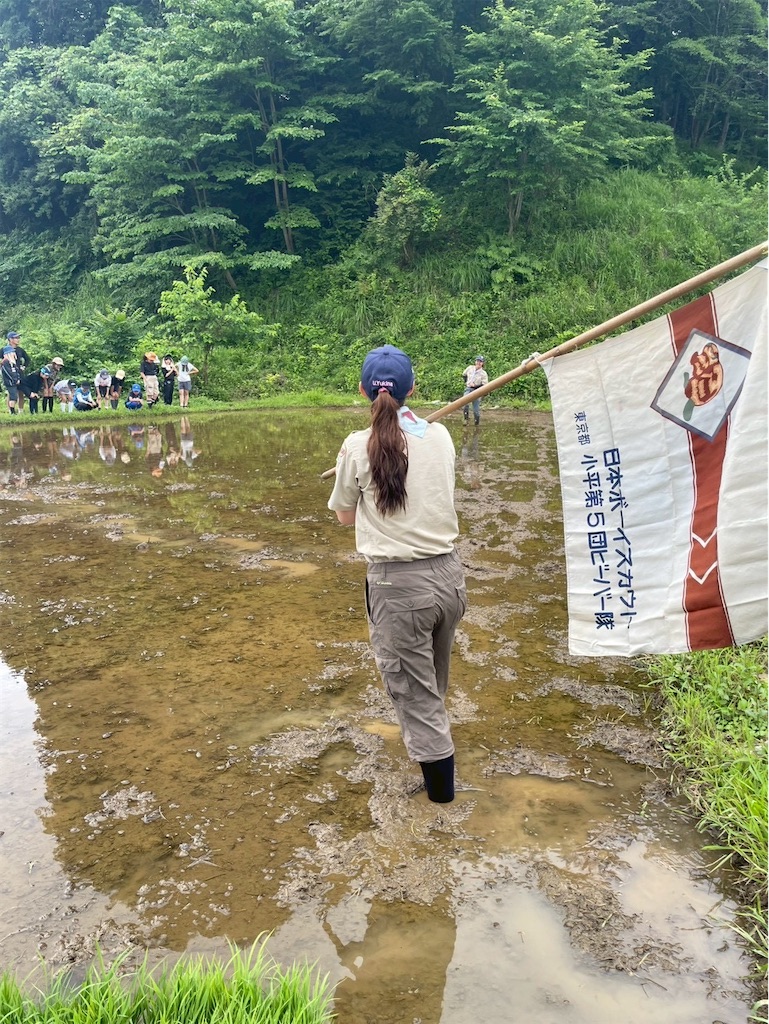 f:id:kodaira5bvs:20260705165813j:image