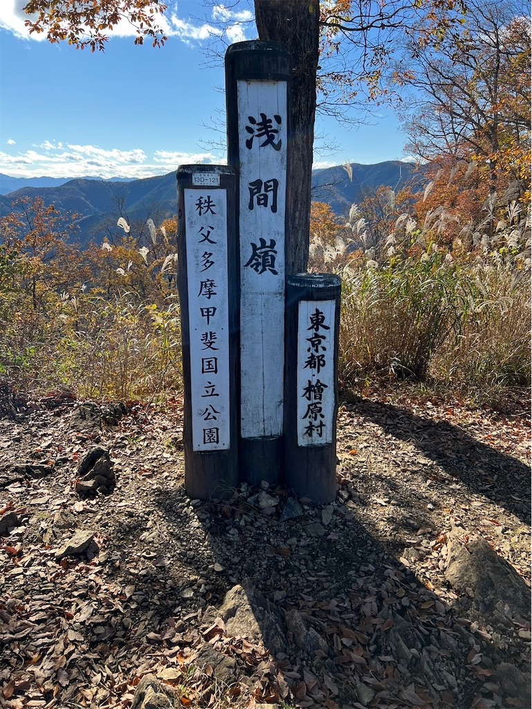 f:id:kodamayurika:20241206205840j:image