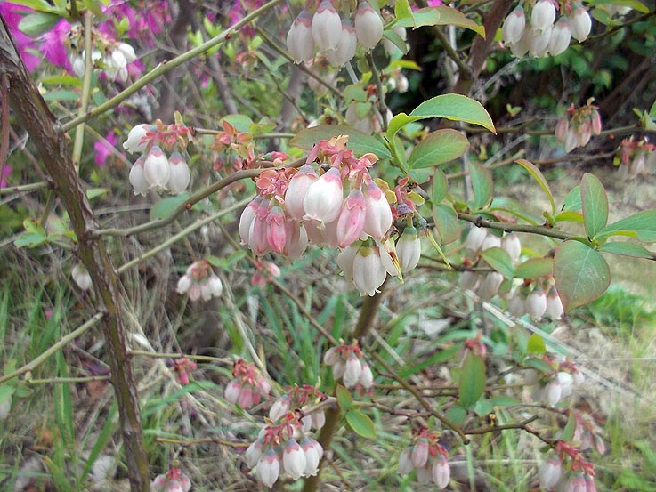 20150420090421