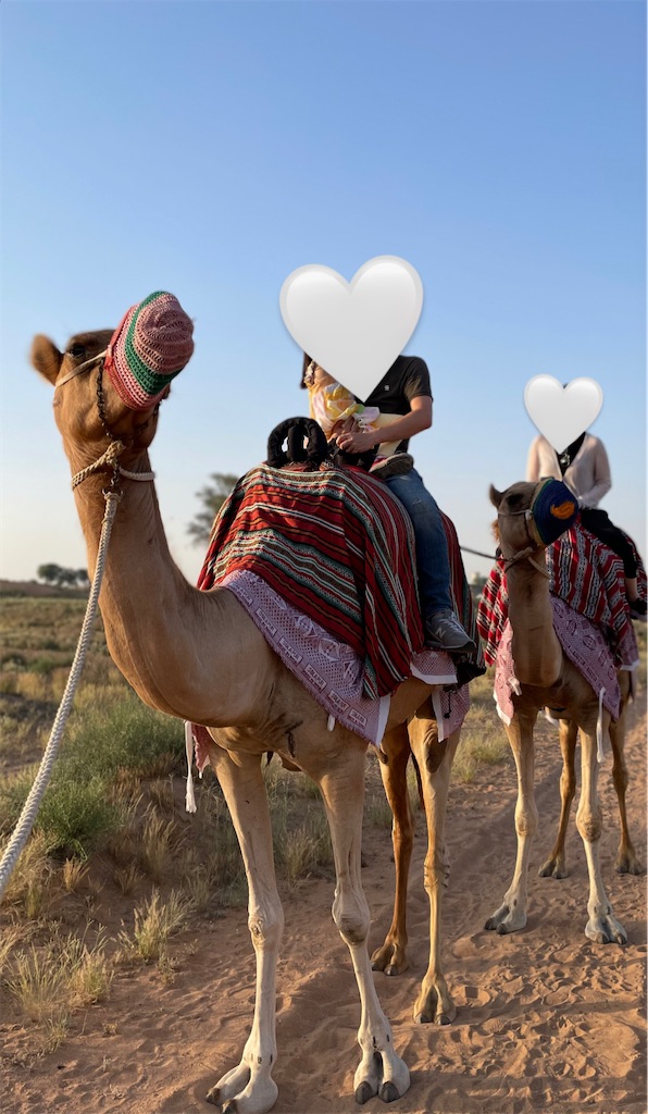 f:id:kodemariii:20240618152048j:image