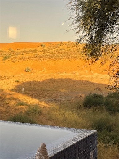 f:id:kodemariii:20240725001539j:image
