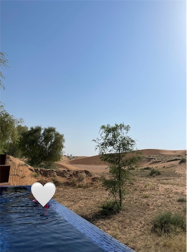 f:id:kodemariii:20250930095913j:image