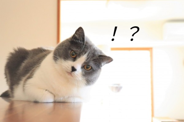 f:id:kodemarix:20220107122042j:plain