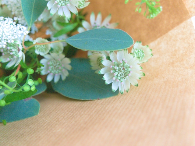 f:id:kodemarix:20220204115229j:plain