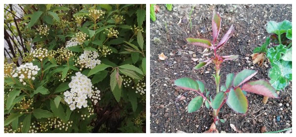 f:id:kodemarix:20220413203408j:plain