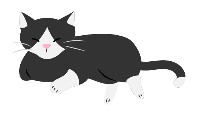 新しいエコバッグ