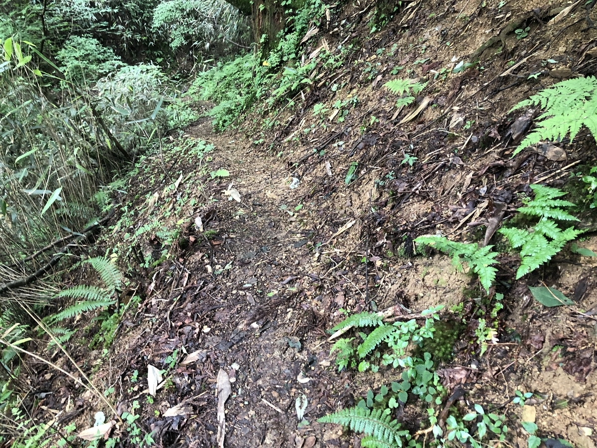 f:id:kodokonorun:20190711151706j:plain