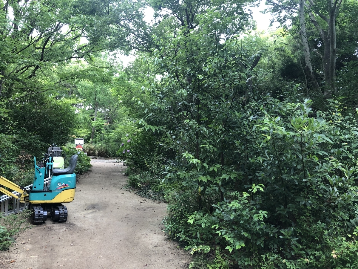 f:id:kodokonorun:20190728145723j:plain f:id:kodokonorun:20190728145723j:plain