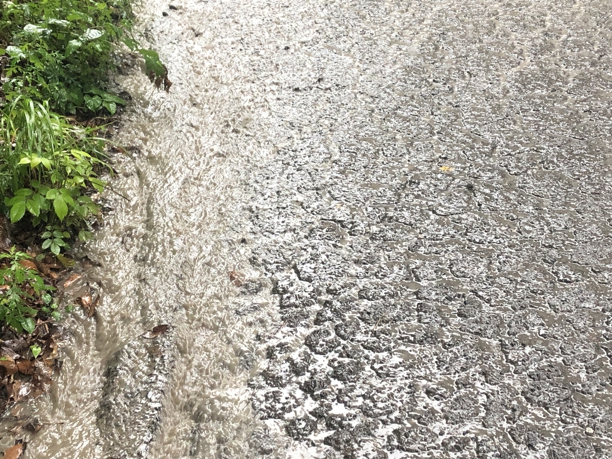 f:id:kodokonorun:20190728151056j:plain f:id:kodokonorun:20190728151056j:plain