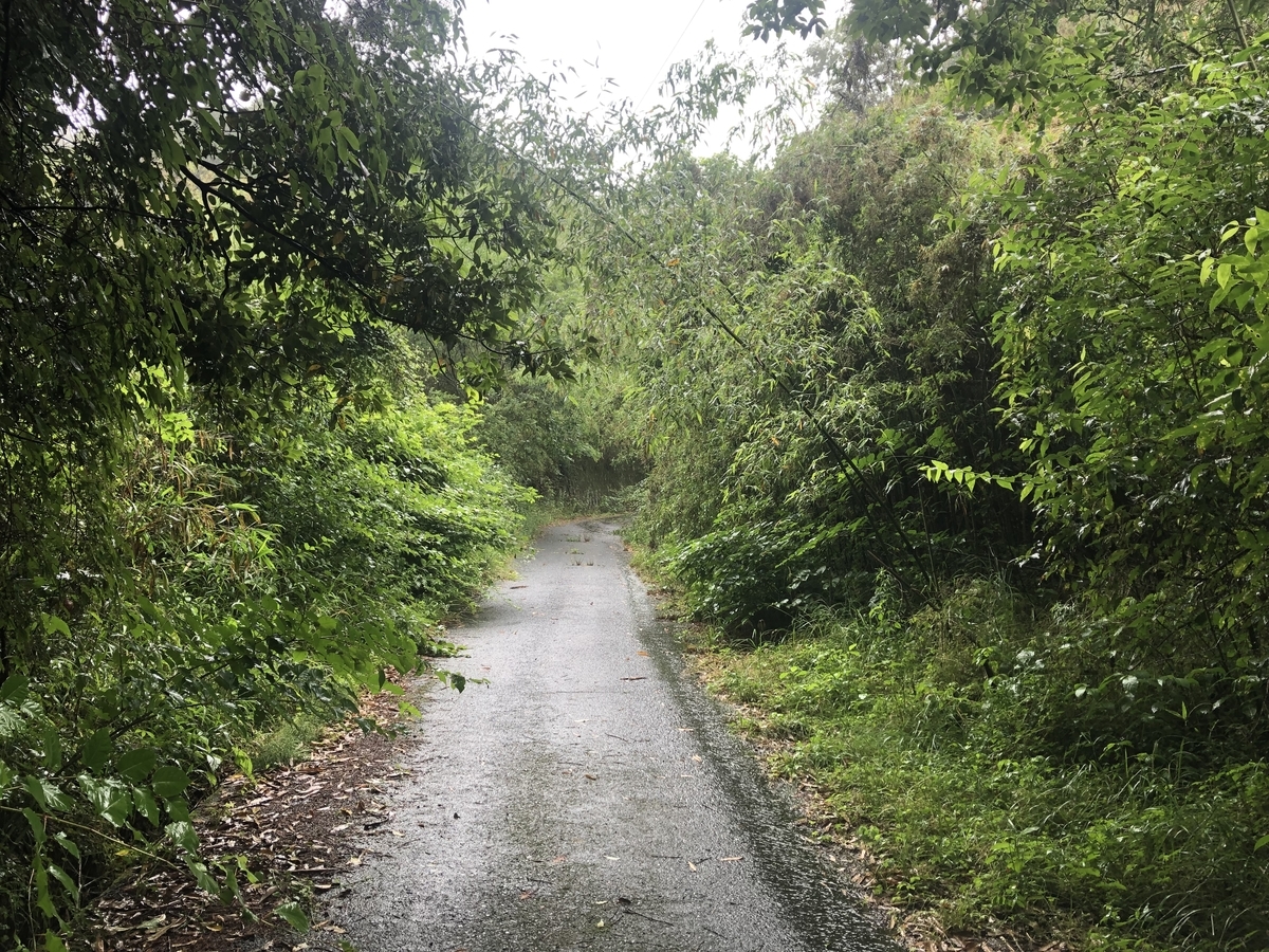 f:id:kodokonorun:20190728151208j:plain f:id:kodokonorun:20190728151208j:plain