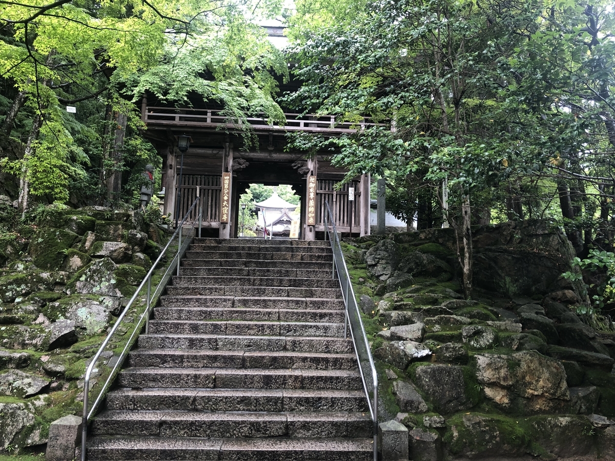 f:id:kodokonorun:20190728151541j:plain f:id:kodokonorun:20190728151541j:plain