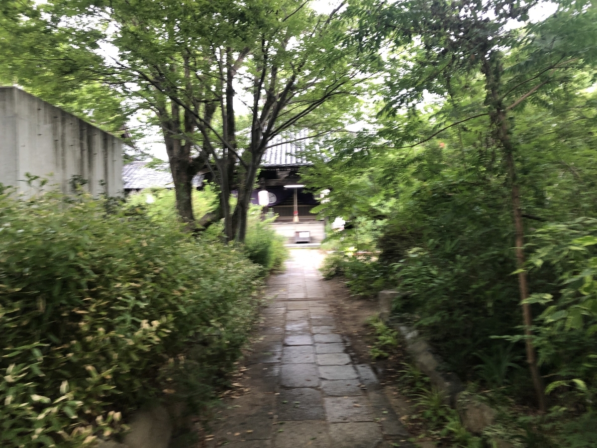 f:id:kodokonorun:20190729180921j:plain f:id:kodokonorun:20190729180921j:plain