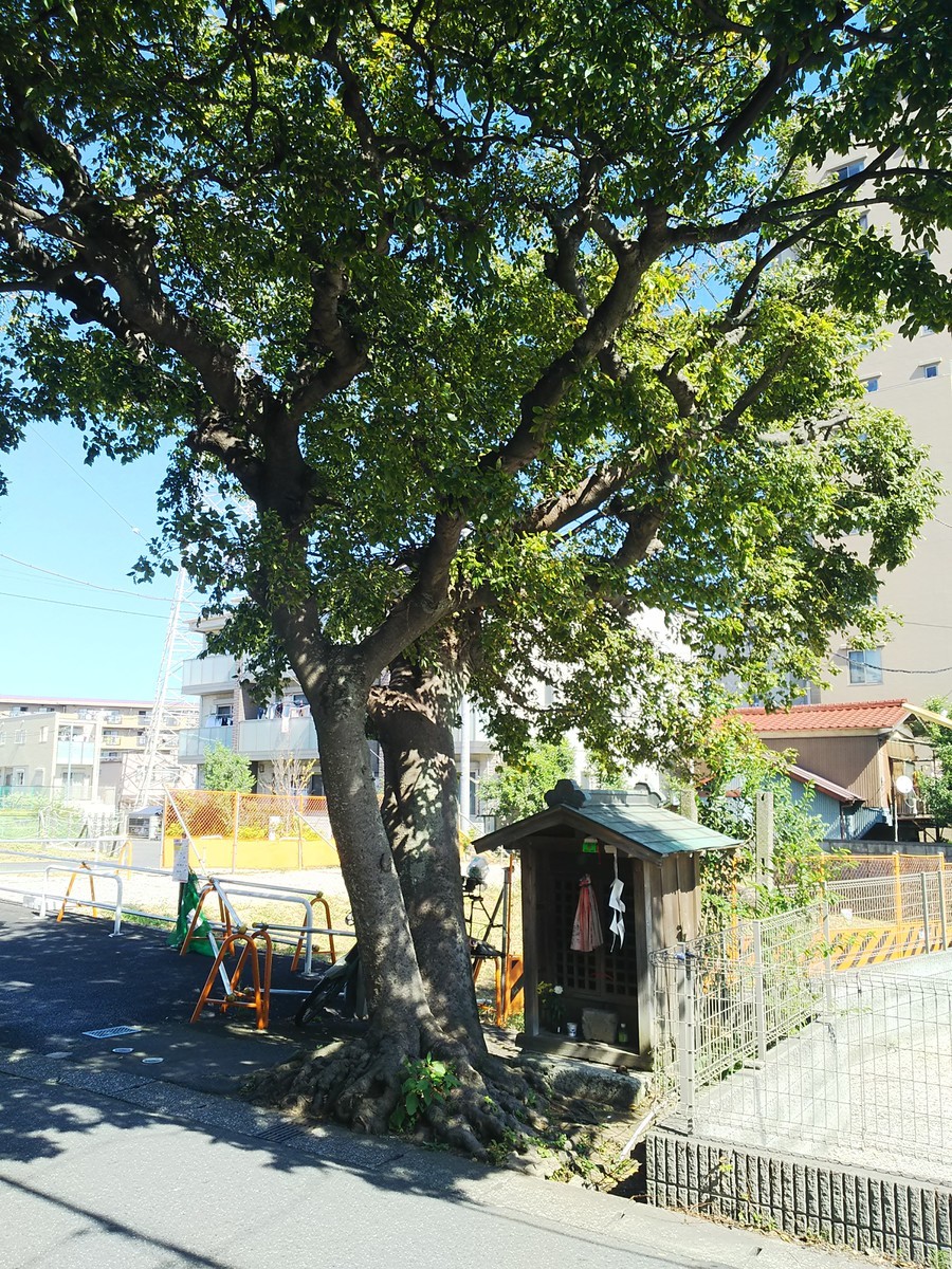 f:id:kodomog:20191009112559j:plain f:id:kodomog:20191009112559j:plain