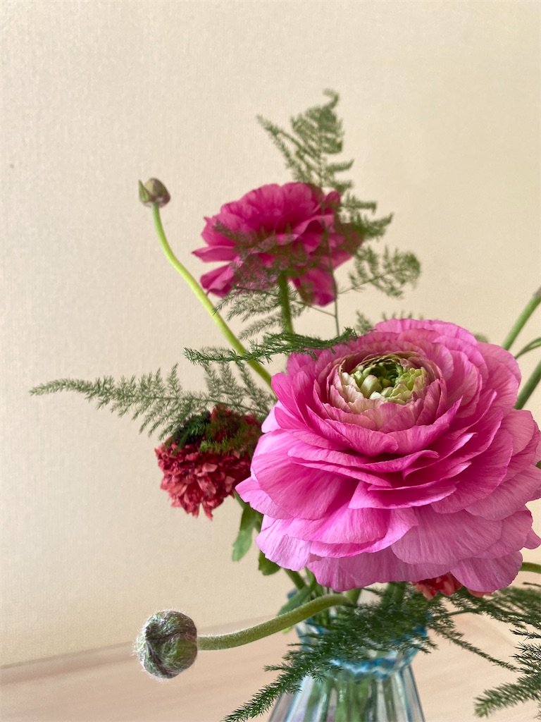 f:id:kodomohanakyousitu100ka:20250215150938j:image