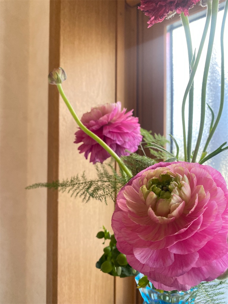 f:id:kodomohanakyousitu100ka:20250215151504j:image