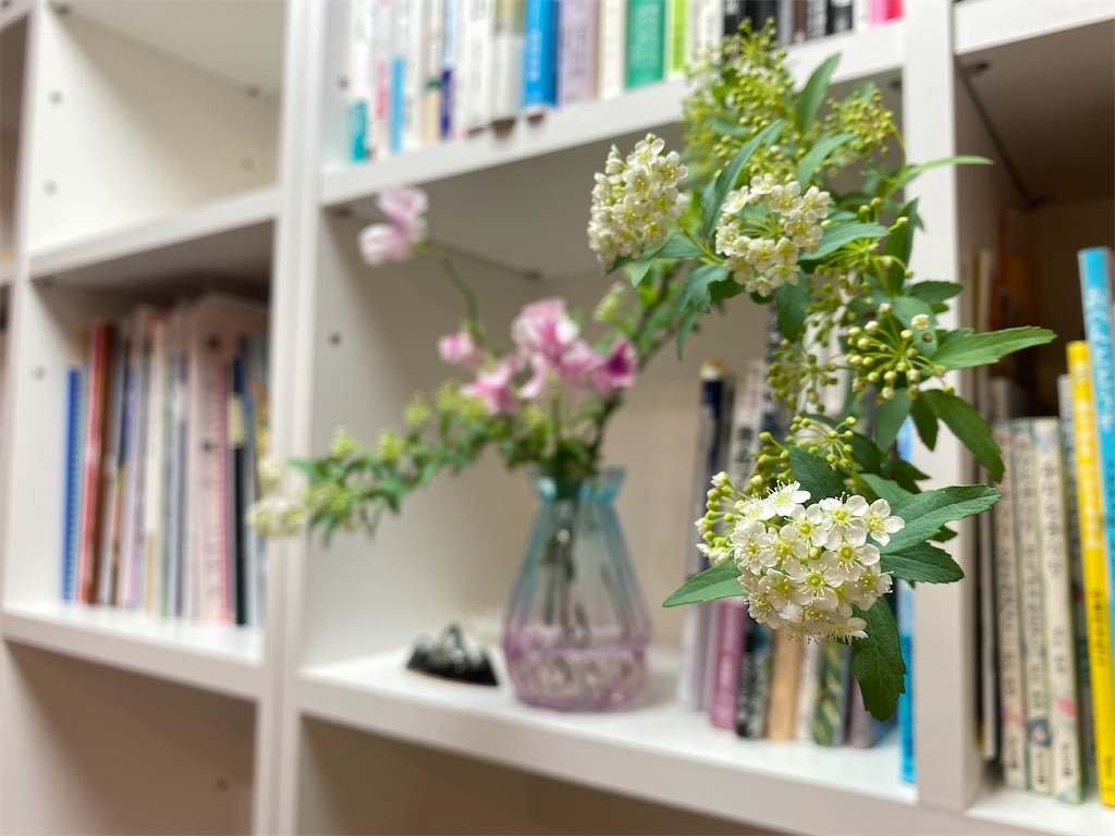 f:id:kodomohanakyousitu100ka:20250227104541j:image