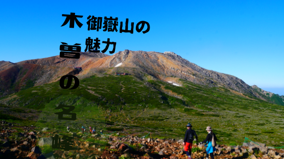 f:id:kodomonoie:20190817181053p:plain f:id:kodomonoie:20190817181053p:plain