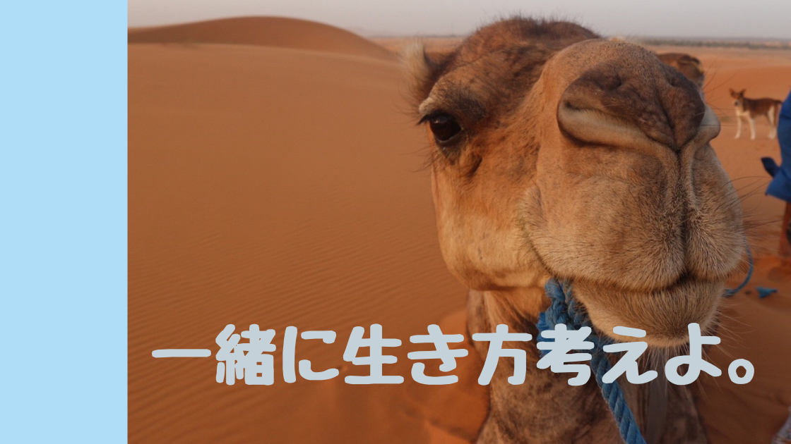 f:id:kodomonoie:20190824223932p:plain f:id:kodomonoie:20190824223932p:plain
