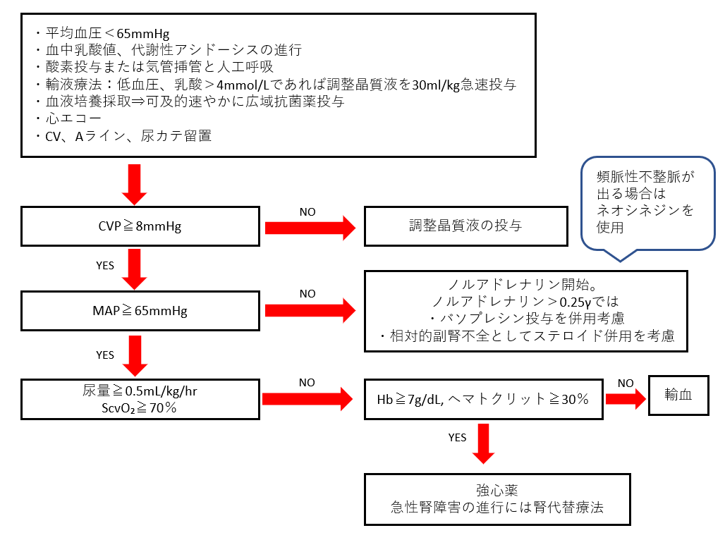 f:id:kodomonotsukai:20210826012810p:plain