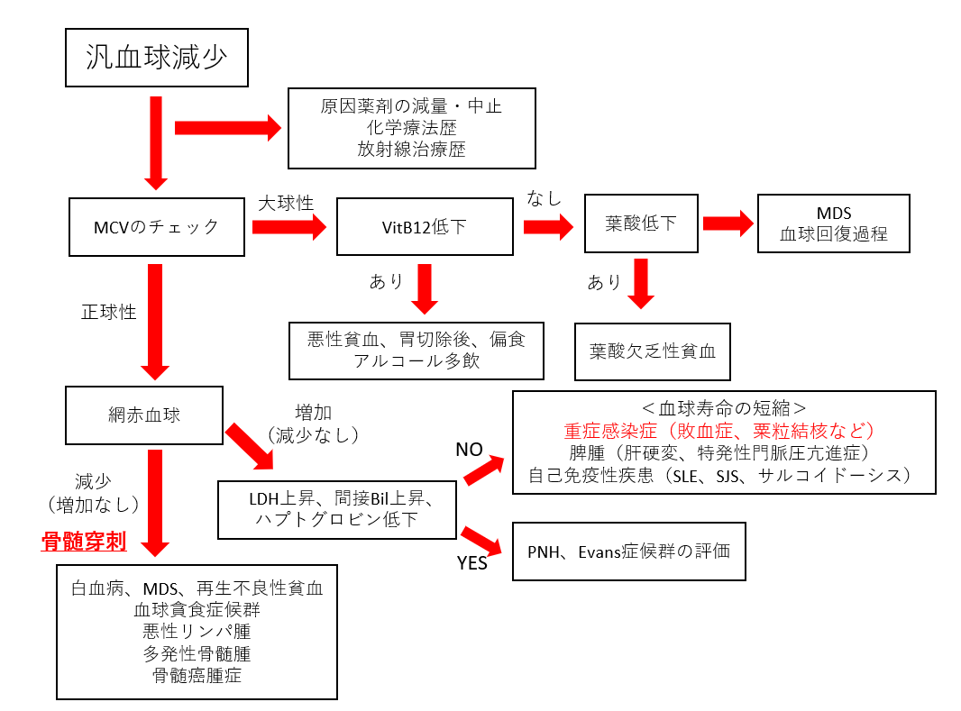 f:id:kodomonotsukai:20211002205417p:plain