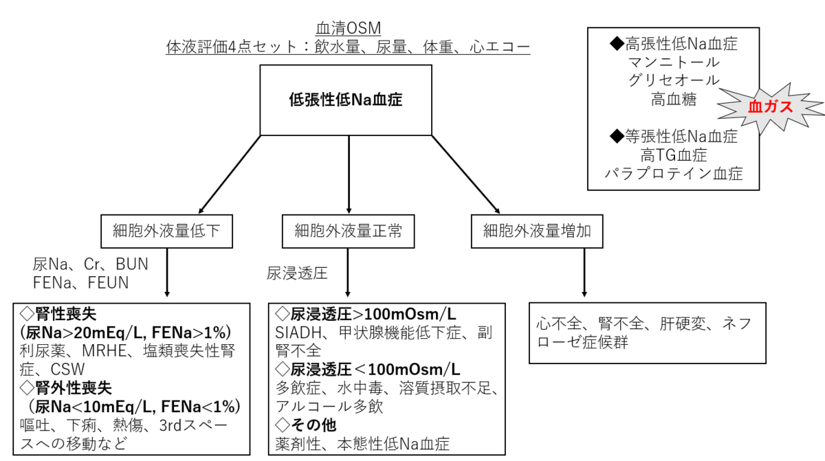 ナトリウム濃度が高いということは何を示しているのでしょうか?