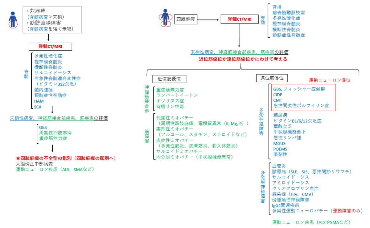 f:id:kodomonotsukai:20211124204217p:plain
