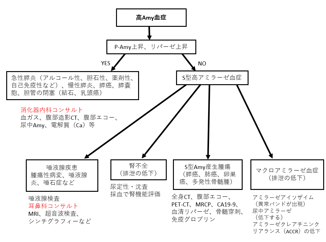 f:id:kodomonotsukai:20211225194245p:plain