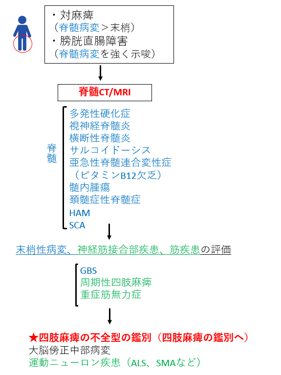 f:id:kodomonotsukai:20220305230329p:plain