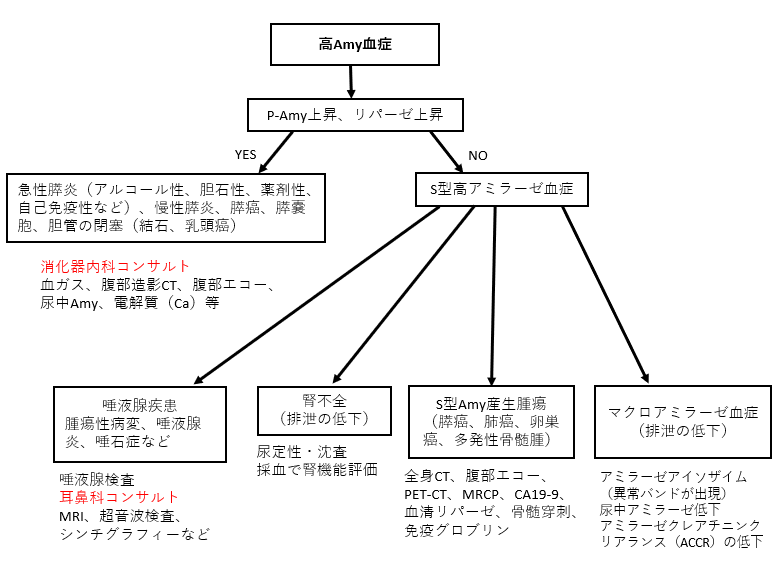 アミラーゼ の 数値 が 高い