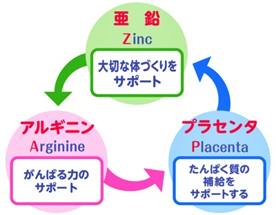 アスミール独自のZAPバランス