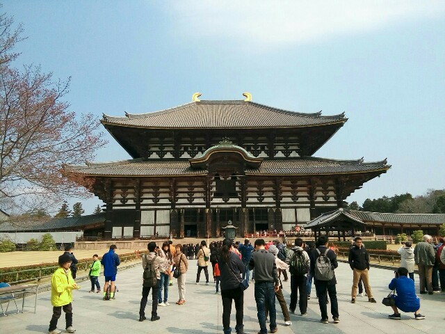 f:id:kodomotoisshoni:20170402165901j:image f:id:kodomotoisshoni:20170402165901j:image