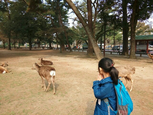 f:id:kodomotoisshoni:20170402171153j:image f:id:kodomotoisshoni:20170402171153j:image