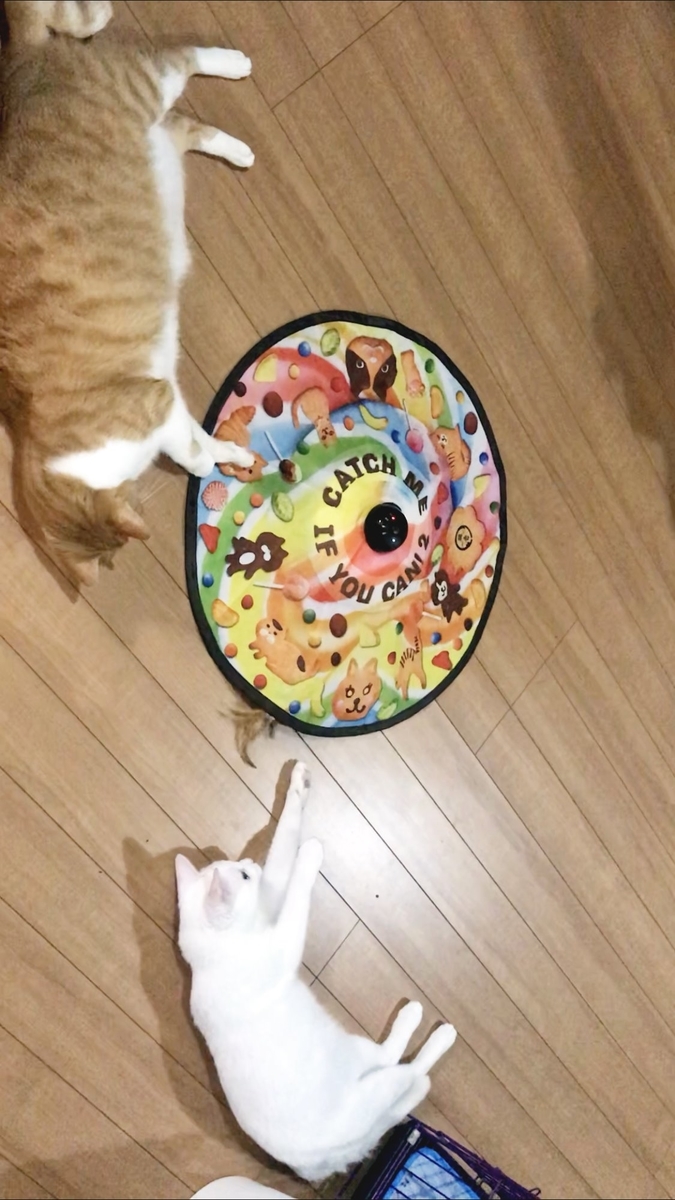 f:id:koduck110:20190725230305j:plain f:id:koduck110:20190725230305j:plain