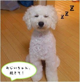 f:id:koedo-animal:20170806182550j:plain f:id:koedo-animal:20170806182550j:plain