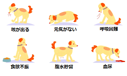 f:id:koedo-animal:20181106173550p:plain f:id:koedo-animal:20181106173550p:plain