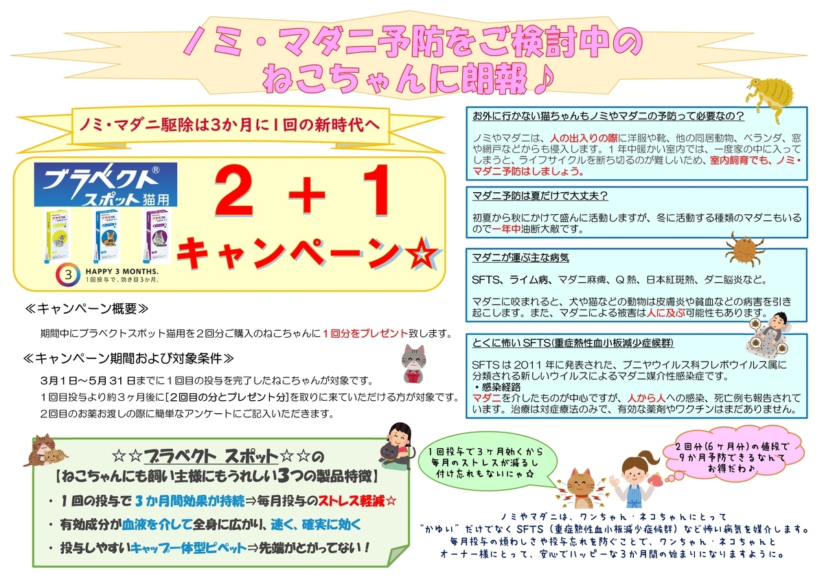 f:id:koedo-animal:20190315105518j:plain f:id:koedo-animal:20190315105518j:plain