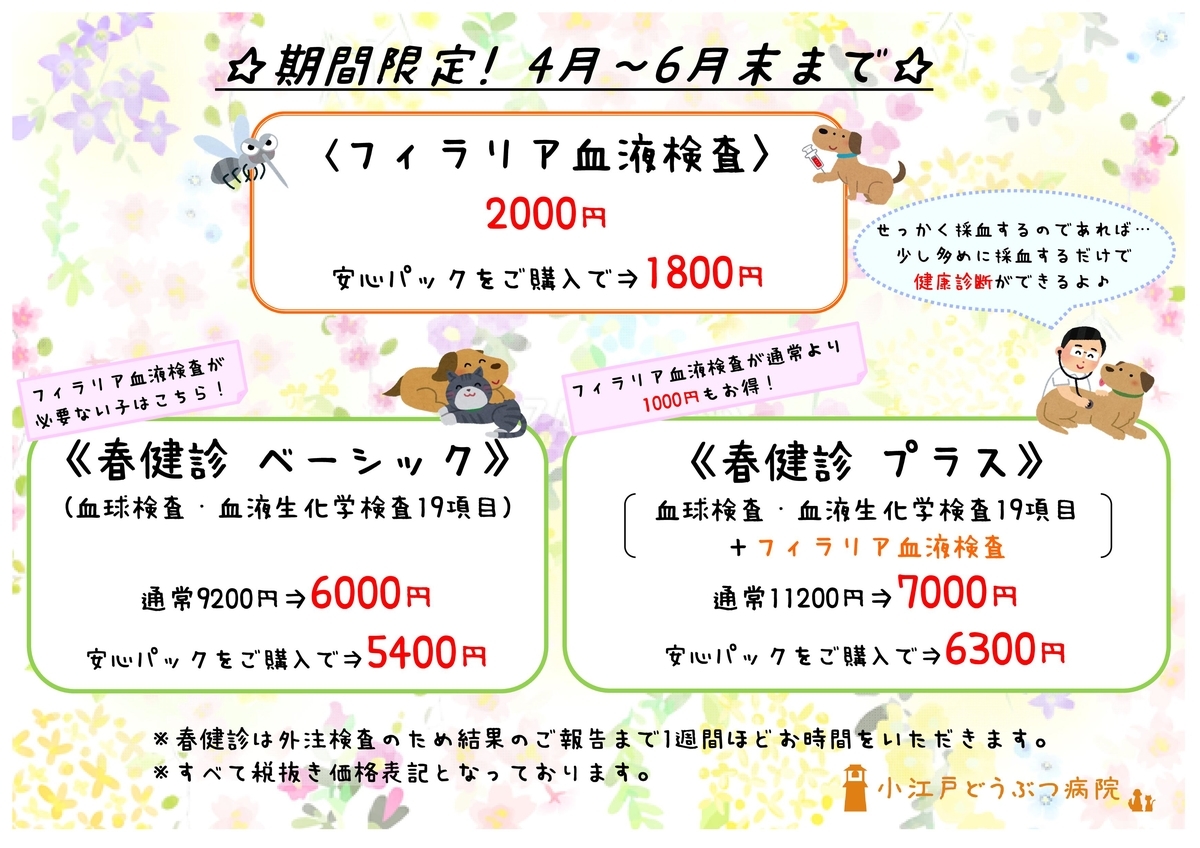 f:id:koedo-animal:20200331174837j:plain f:id:koedo-animal:20200331174837j:plain