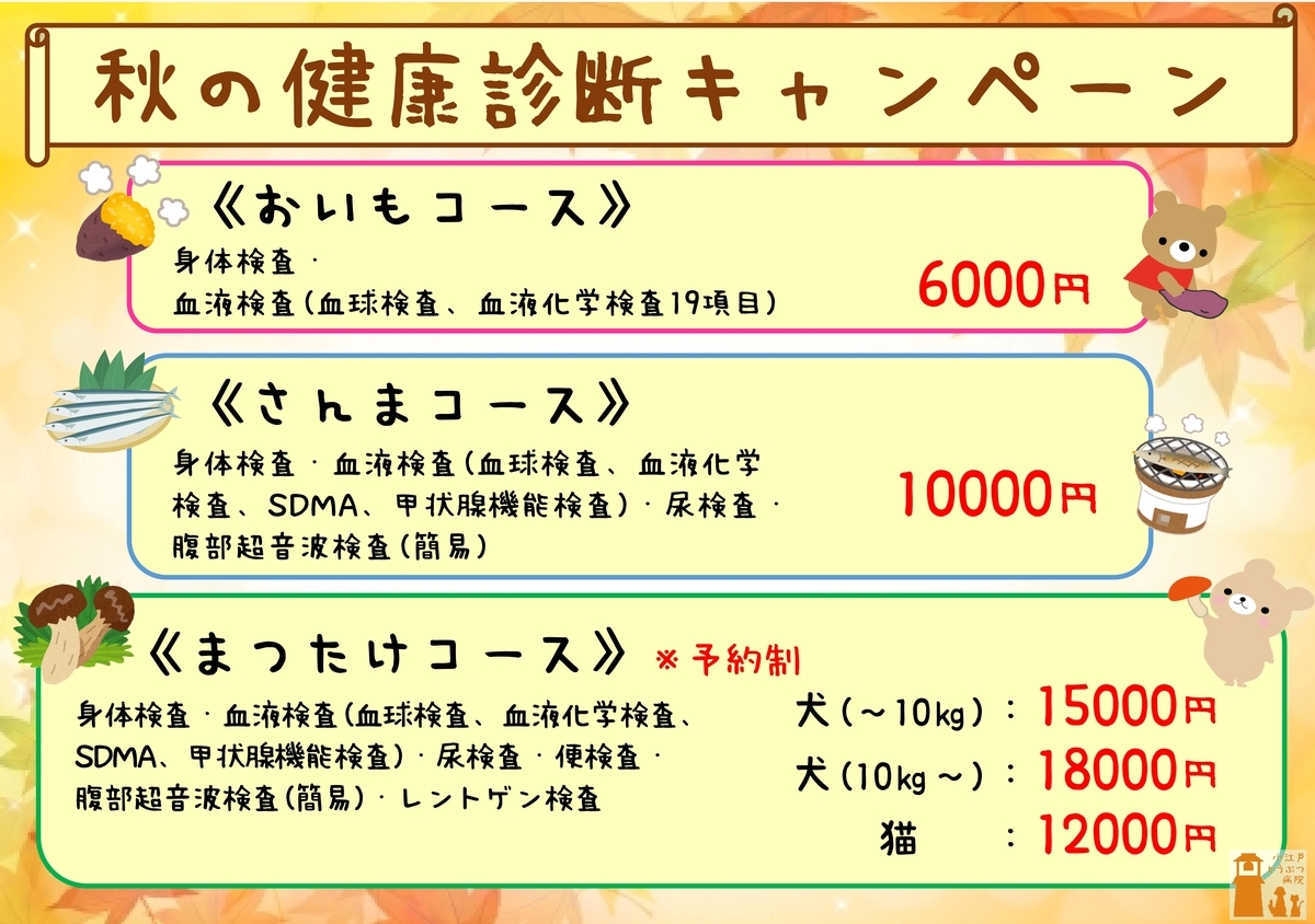 f:id:koedo-animal:20200911181841j:plain f:id:koedo-animal:20200911181841j:plain