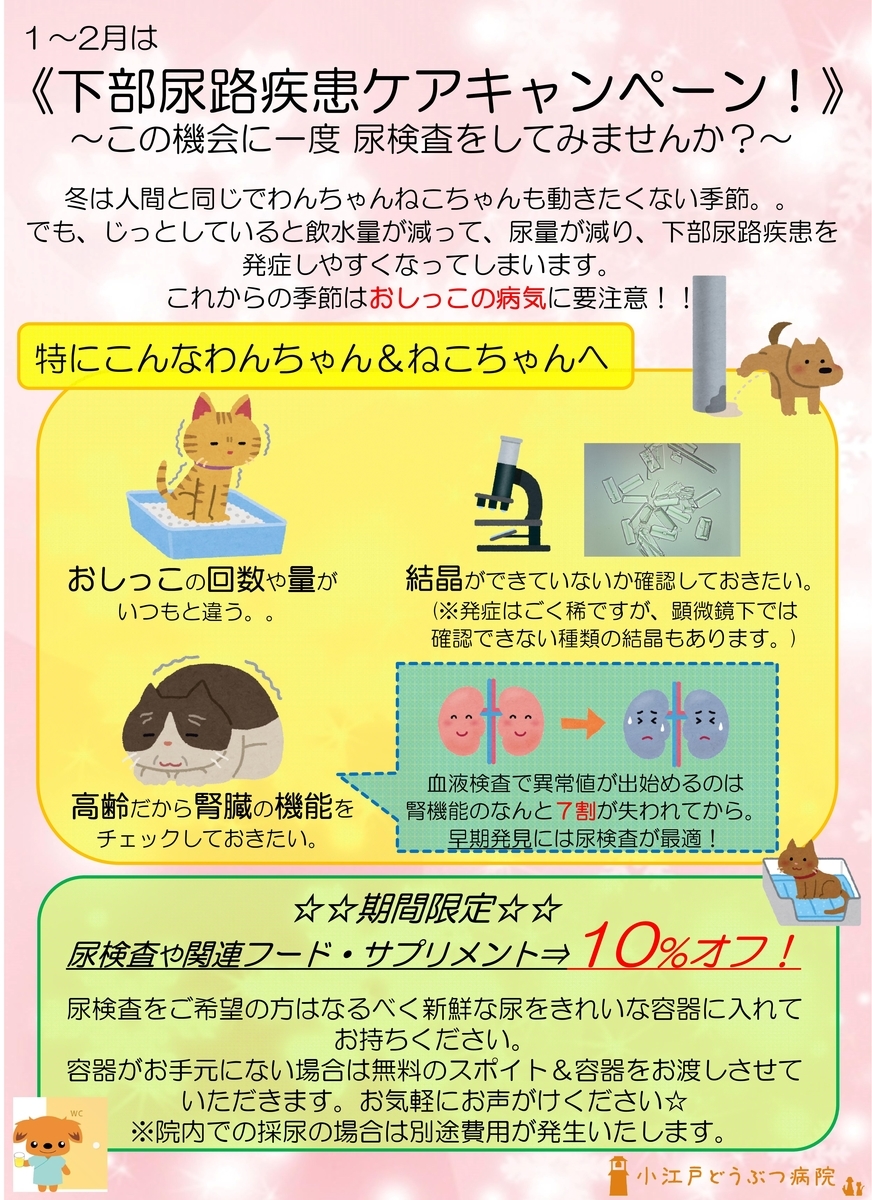 f:id:koedo-animal:20201217172236j:plain