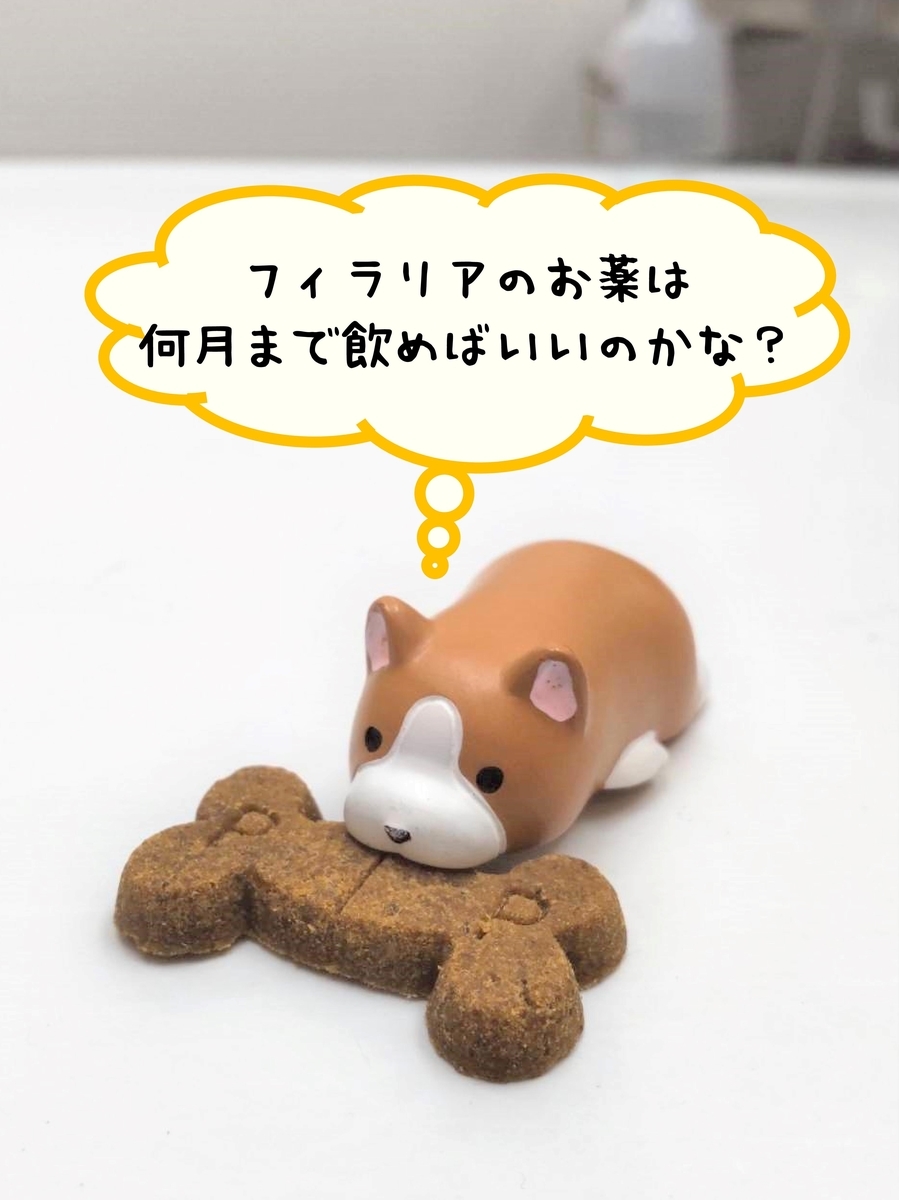f:id:koedo-animal:20211115192410j:plain