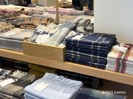 スコットランドのお土産に！カシミヤマフラーを買うなら？おすすめの