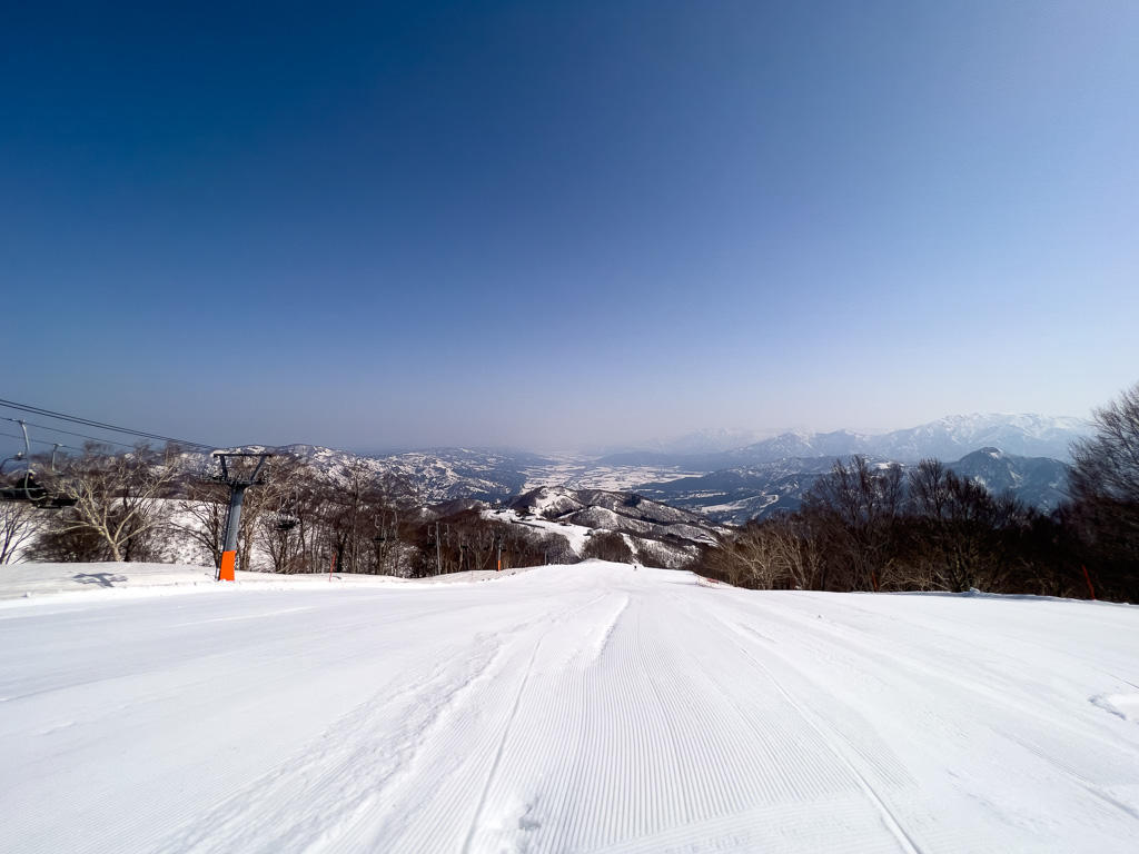 f:id:koemu:20220410085723j:plain