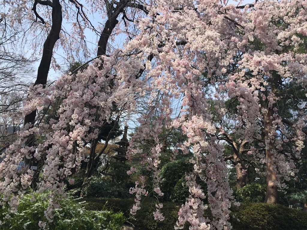 f:id:kofunmeguri:20170412155830j:image