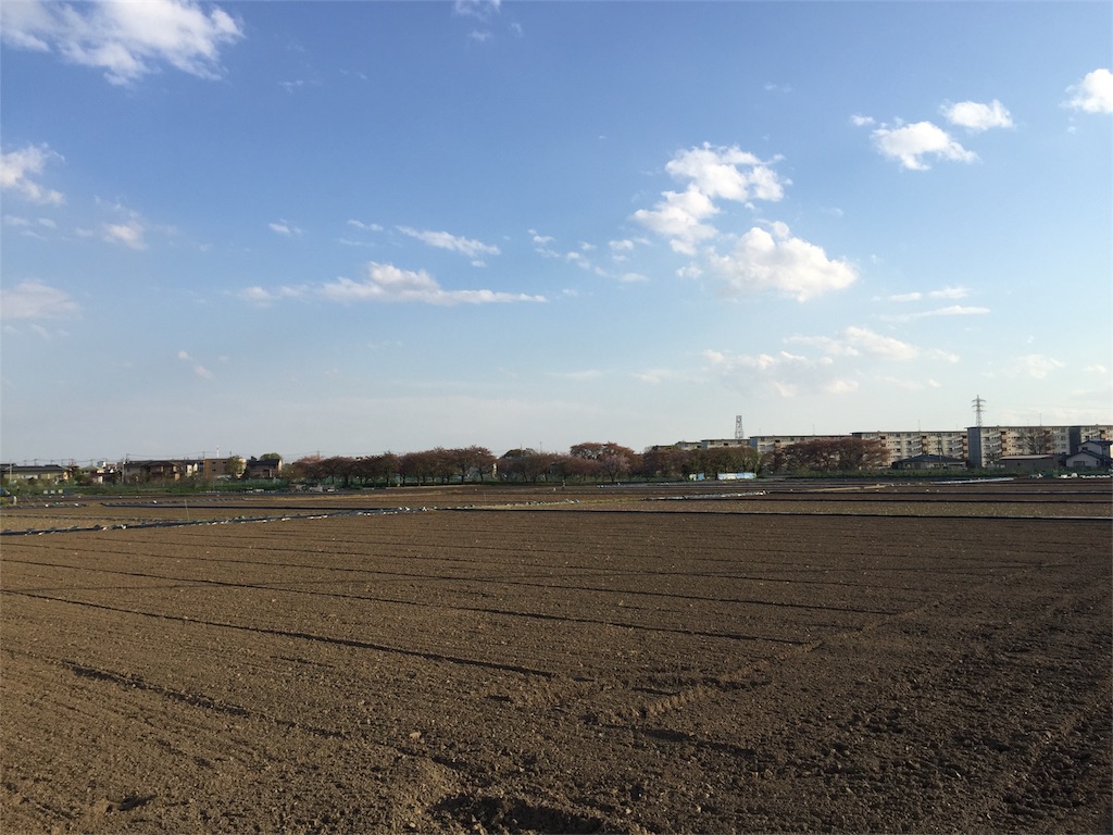 f:id:kofunmeguri:20170415185004j:image