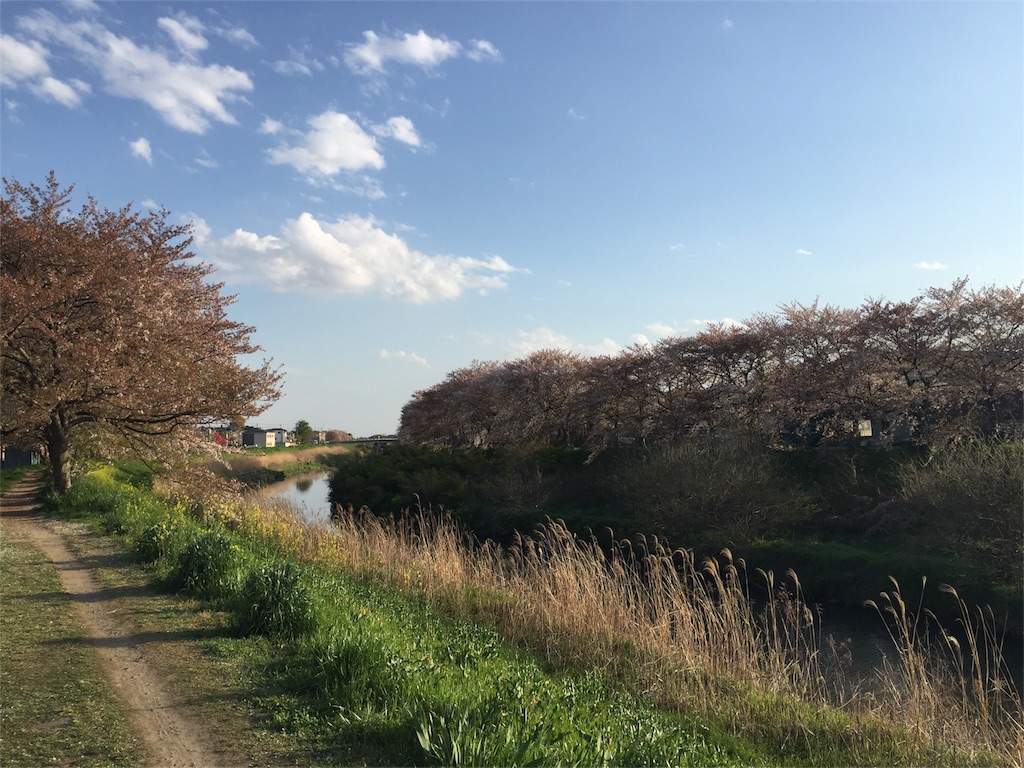 f:id:kofunmeguri:20170415191803j:image