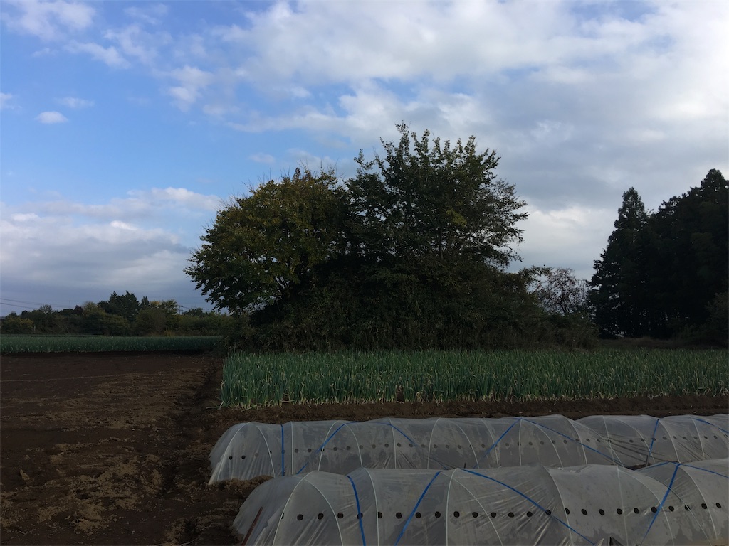 f:id:kofunmeguri:20171112182148j:image