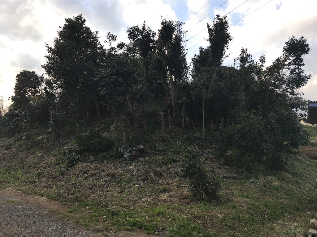 f:id:kofunmeguri:20171112232332j:plain