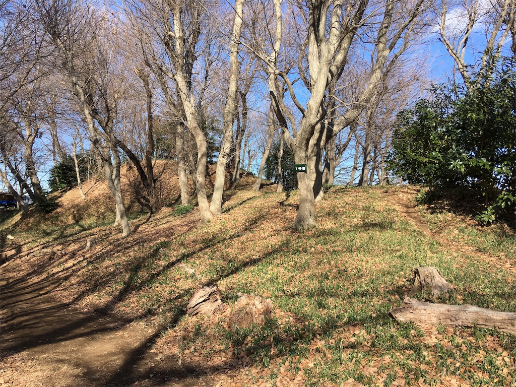 f:id:kofunmeguri:20180207181245j:image