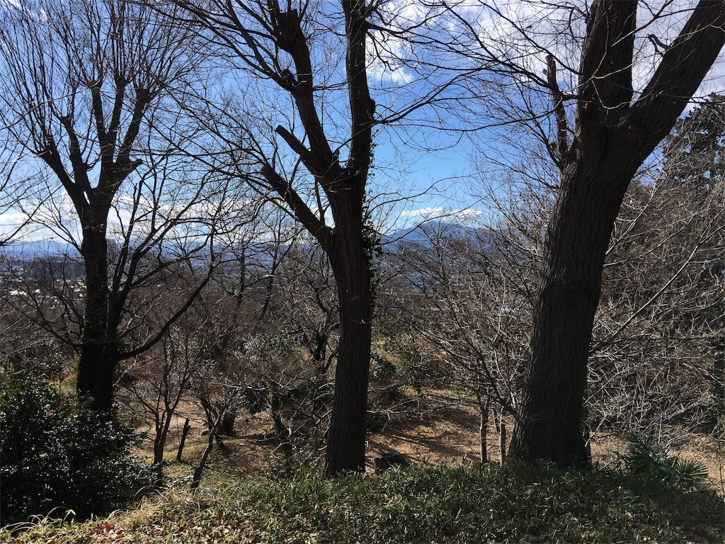 f:id:kofunmeguri:20180207194718j:image