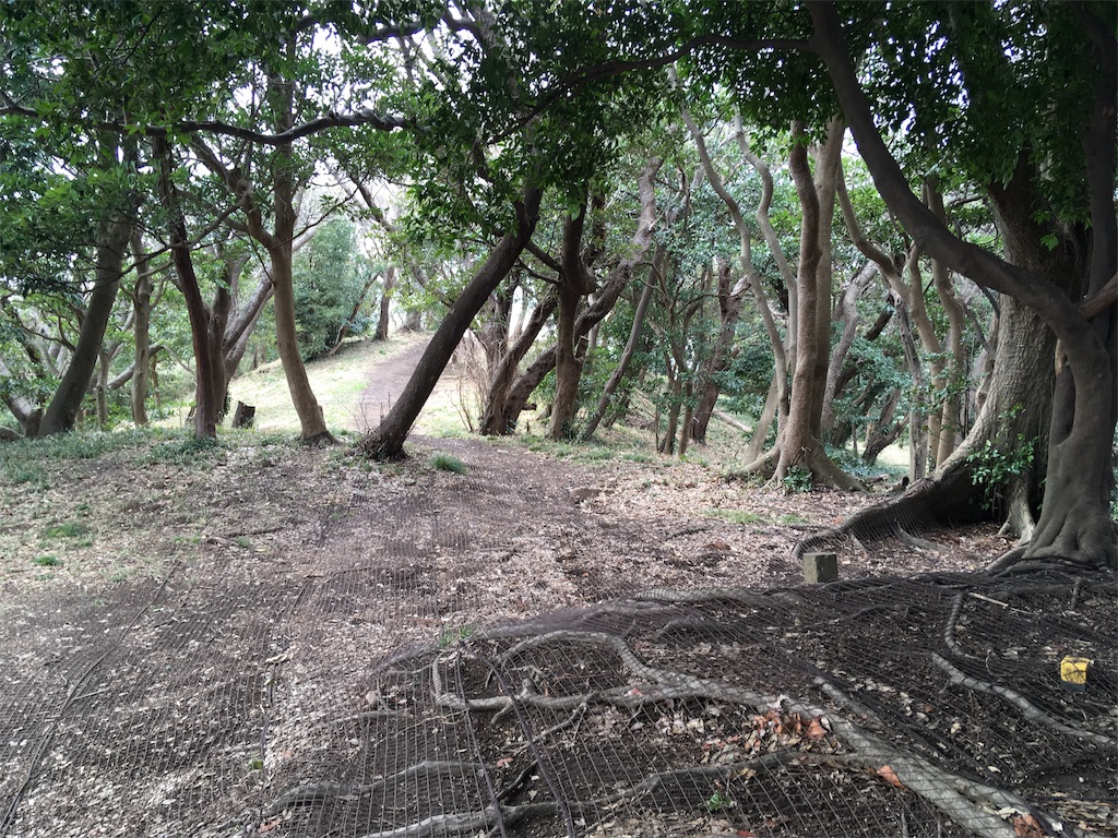 f:id:kofunmeguri:20180307212158j:image f:id:kofunmeguri:20180307212158j:image